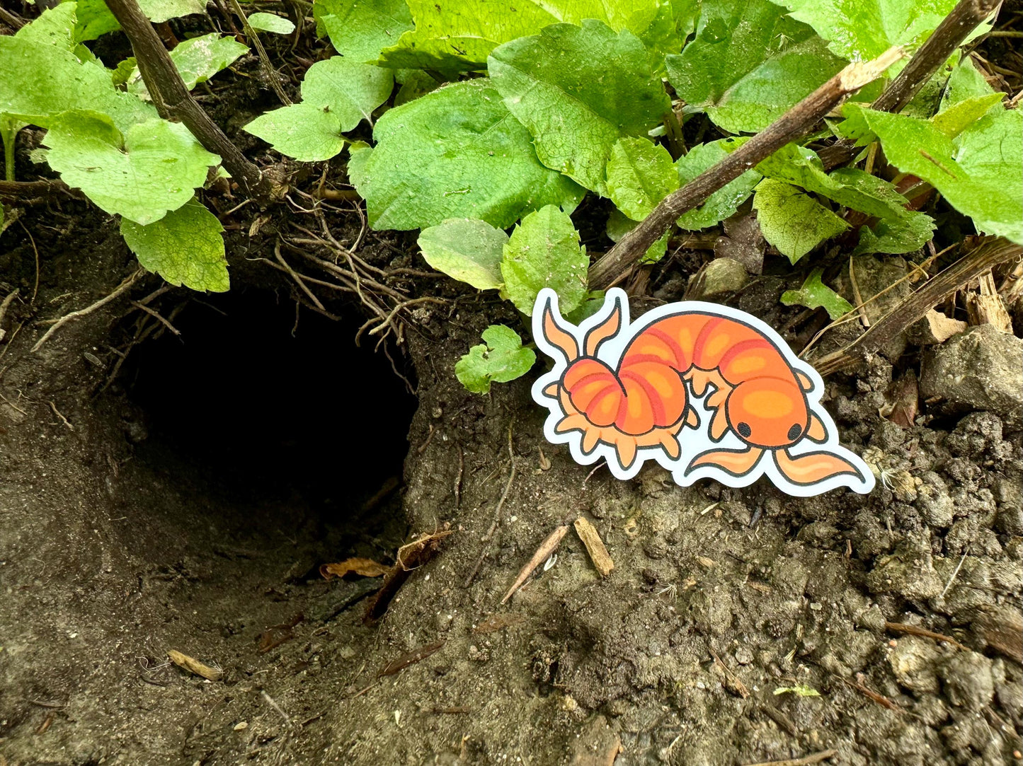 Millipede + Centipede stickers!! Ivory Millipede + House centipede + Scolopendra