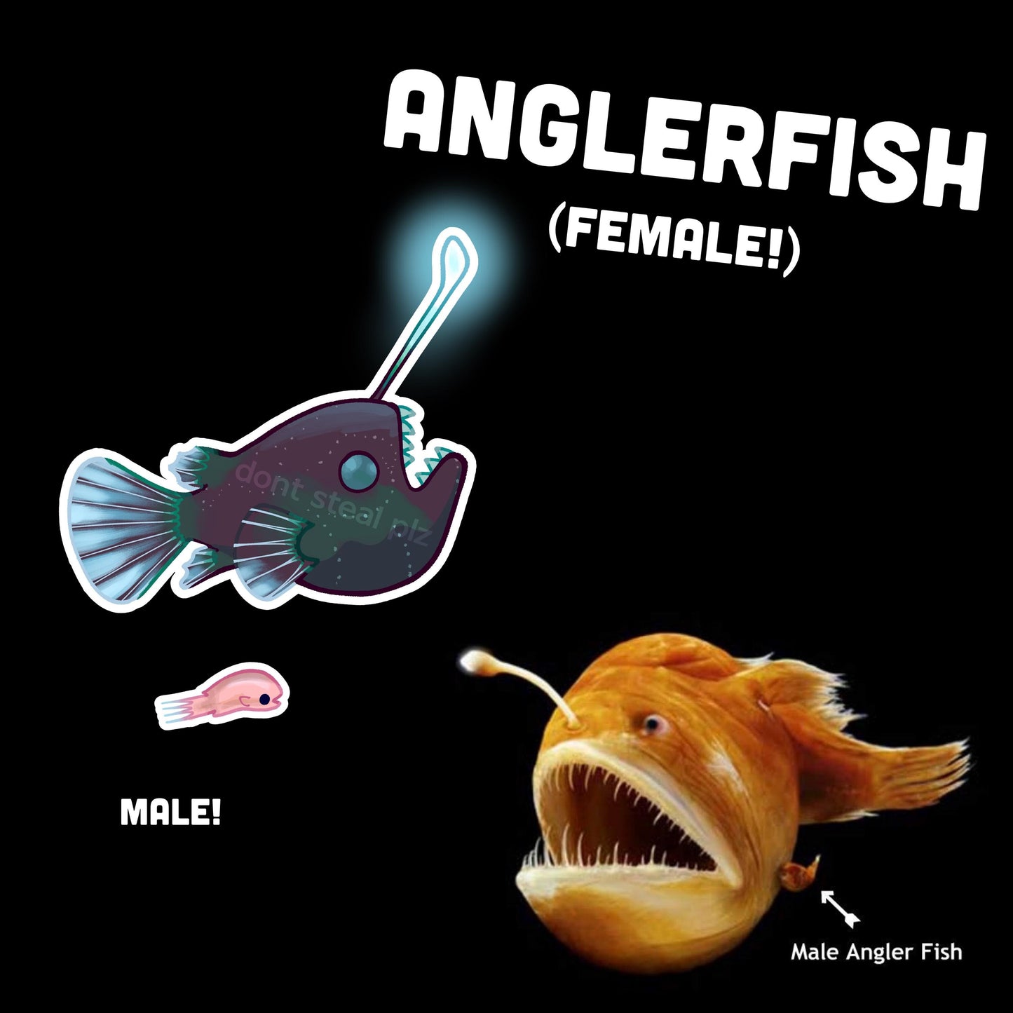 DEEP SEA fish stickers! barreleye, blobfish, oarfish, anglerfish, and tripodfish
