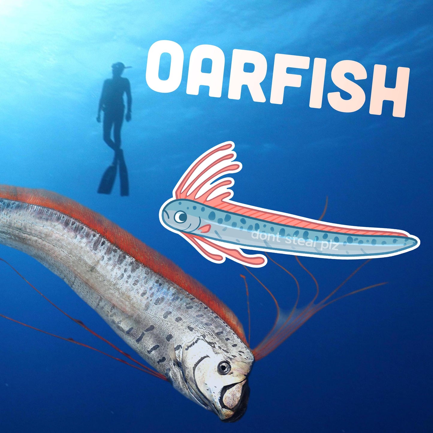 DEEP SEA fish stickers! barreleye, blobfish, oarfish, anglerfish, and tripodfish
