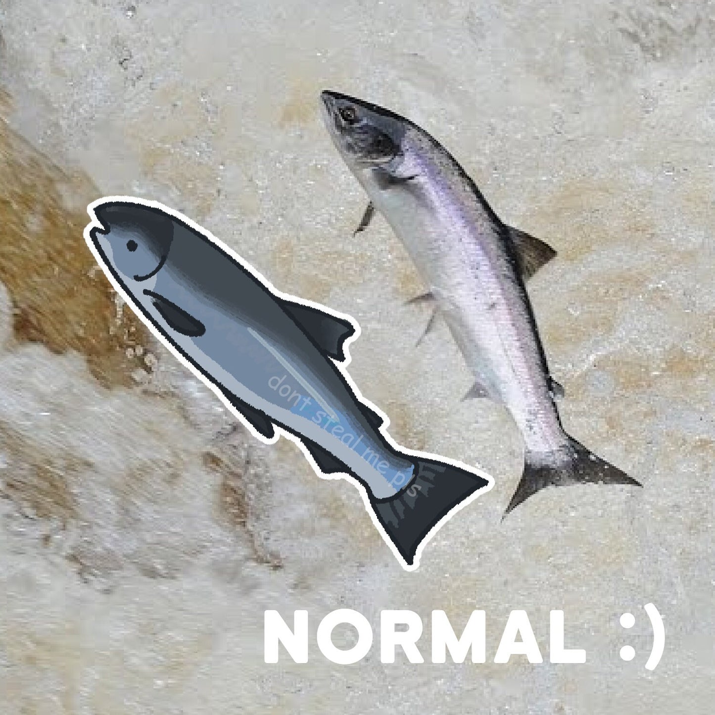 salmon stickers! sockeye fishy + more