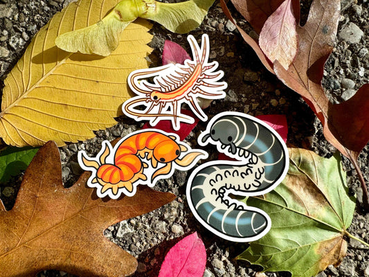 Millipede + Centipede stickers!! Ivory Millipede + House centipede + Scolopendra