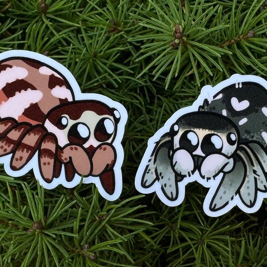 jumping spider stickers!! waterproof regal + zebra jumpers