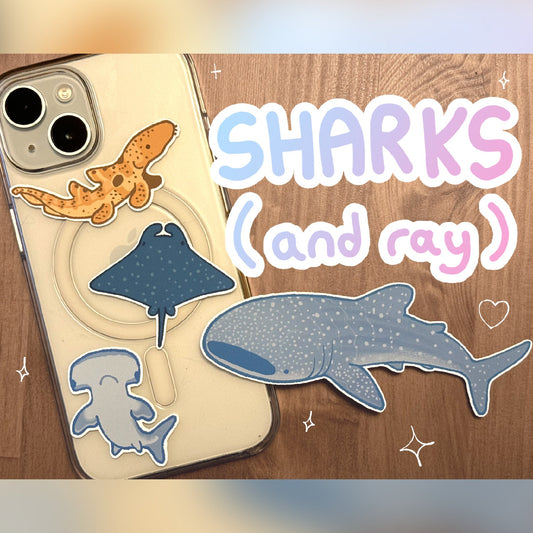 shark stickers! whale shark, hammerhead, epaulette + more