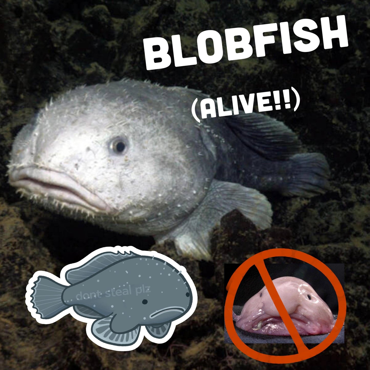 DEEP SEA fish stickers! barreleye, blobfish, oarfish, anglerfish, and tripodfish