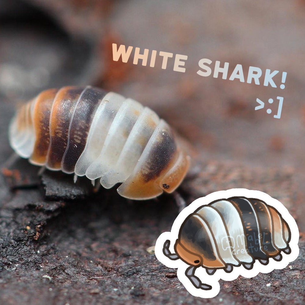 isopod stickers! rubber ducky, giant isopod + more