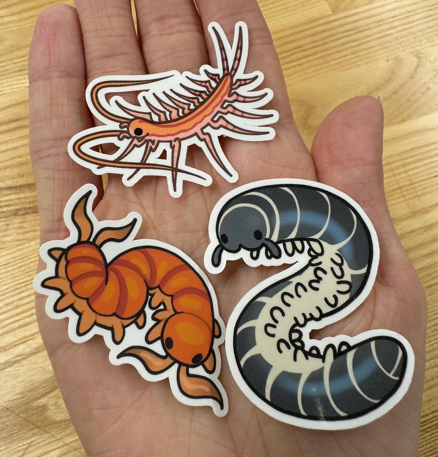 Millipede + Centipede stickers!! Ivory Millipede + House centipede + Scolopendra