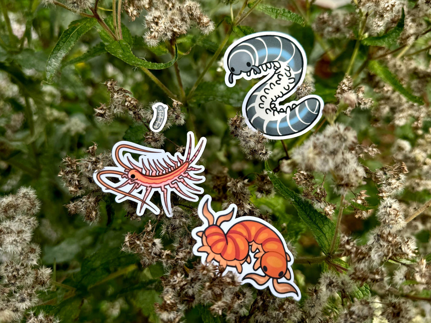 Millipede + Centipede stickers!! Ivory Millipede + House centipede + Scolopendra